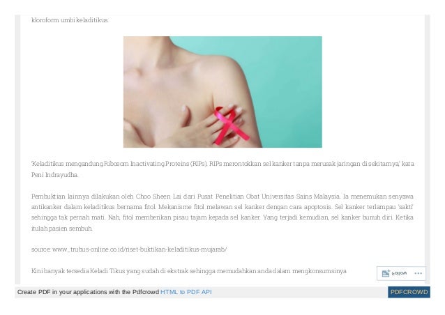 Produk K Link Obat Kanker Payudara Site Title Produk K Link Obat Kanker Payudara Site Title
