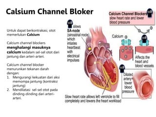 Calsium Channel Bloker
Untuk dapat berkontrakasi, otot
memerlukan Calsium
Calcium channel blockers
menghalangi masuknya
calcium kedalam sel-sel otot dari
jantung dan arteri-arteri.
Calcium channel blocker
menurunkan tekanan darah
dengan:
1. Mengurangi kekuatan dari aksi
memompa jantung (kontraksi
jantung)
2. Mendilatasi sel-sel otot pada
dinding-dinding dari arteri-
arteri.
 