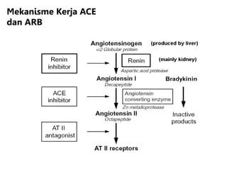 Mekanisme Kerja ACE
dan ARB
 