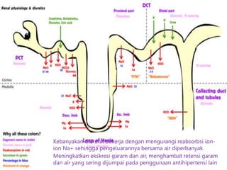 Kebanyakan diuretik bekerja dengan mengurangi reabsorbsi ion-
ion Na+ sehingga pengeluarannya bersama air diperbanyak.
Meningkatkan ekskresi garam dan air, menghambat retensi garam
dan air yang sering dijumpai pada penggunaan antihipertensi lain
 