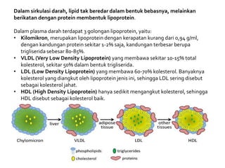 Dalam sirkulasi darah, lipid tak beredar dalam bentuk bebasnya, melainkan
berikatan dengan protein membentuk lipoprotein.
Dalam plasma darah terdapat 3 golongan lipoprotein, yaitu:
• Kilomikron, merupakan lipoprotein dengan kerapatan kurang dari 0,94 g/ml,
dengan kandungan protein sekitar 1-2% saja, kandungan terbesar berupa
trigliserida sebesar 80-85%.
• VLDL (Very Low Density Lipoprotein) yang membawa sekitar 10-15% total
kolesterol, sekitar 50% dalam bentuk trigliserida.
• LDL (Low Density Lipoprotein) yang membawa 60-70% kolesterol. Banyaknya
kolesterol yang diangkut oleh lipoprotein jenis ini, sehingga LDL sering disebut
sebagai kolesterol jahat.
• HDL (High Density Lipoprotein) hanya sedikit mengangkut kolesterol, sehingga
HDL disebut sebagai kolesterol baik.
 