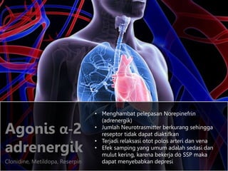 Agonis α-2
adrenergik
Clonidine, Metildopa, Reserpin
• Menghambat pelepasan Norepinefrin
(adrenergik)
• Jumlah Neurotrasmitter berkurang sehingga
reseptor tidak dapat diaktifkan
• Terjadi relaksasi otot polos arteri dan vena
• Efek samping yang umum adalah sedasi dan
mulut kering, karena bekerja do SSP maka
dapat menyebabkan depresi
 