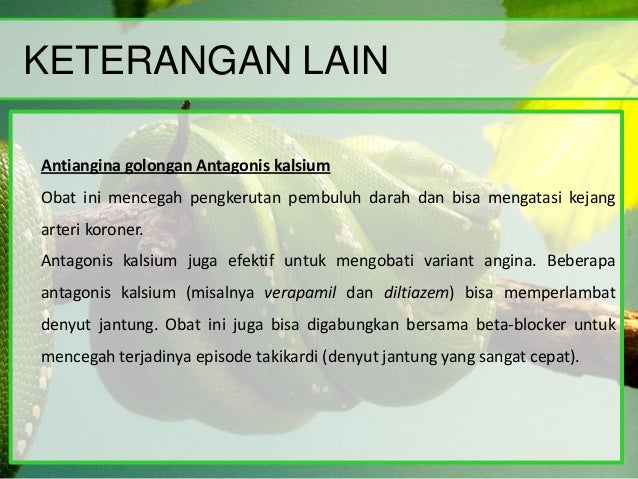 3 obat antiangina golongan kardiovaskuler Obat 3 obat antiangina golongan kardiovaskuler Obat