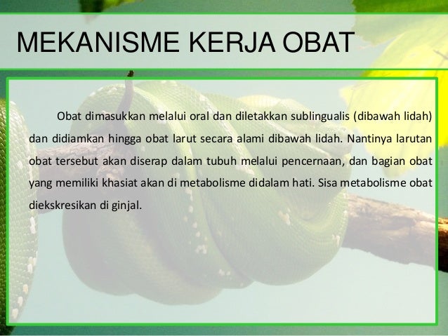 Obat kardiovaskuler