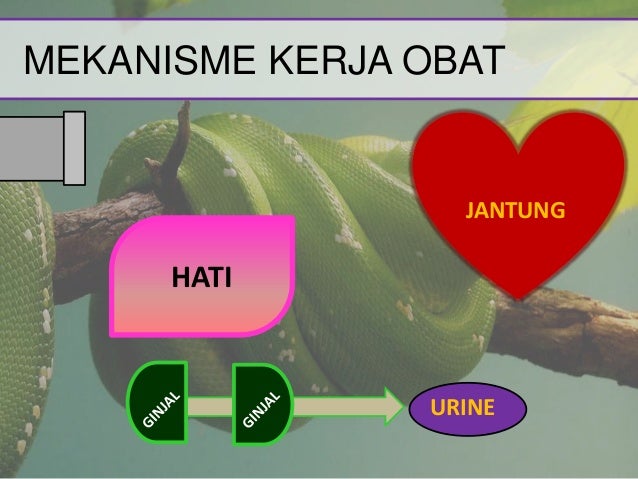 Obat kardiovaskuler