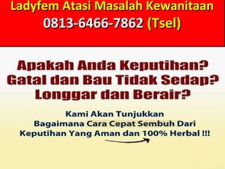Ladyfem Atasi Masalah KewanitaanLadyfem Atasi Masalah Kewanitaan
0813-6466-78620813-6466-7862 (Tsel)(Tsel)
 