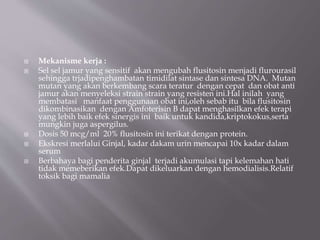  Mekanisme kerja :
 Sel sel jamur yang sensitif akan mengubah flusitosin menjadi flurourasil
sehingga trjadipenghambatan timidilat sintase dan sintesa DNA. Mutan
mutan yang akan berkembang scara teratur dengan cepat dan obat anti
jamur akan menyeleksi strain strain yang resisten ini.Hal inilah yang
membatasi manfaat penggunaan obat ini,oleh sebab itu bila flusitosin
dikombinasikan dengan Amfoterisin B dapat menghasilkan efek terapi
yang lebih baik efek sinergis ini baik untuk kandida,kriptokokus,serta
mungkin juga aspergilus.
 Dosis 50 mcg/ml 20% flusitosin ini terikat dengan protein.
 Ekskresi merlalui Ginjal, kadar dakam urin mencapai 10x kadar dalam
serum
 Berbahaya bagi penderita ginjal terjadi akumulasi tapi kelemahan hati
tidak memeberikan efek.Dapat dikeluarkan dengan hemodialisis.Relatif
toksik bagi mamalia
 