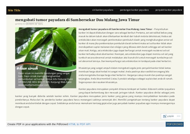 Obattradisionaldiabetespalingampuh