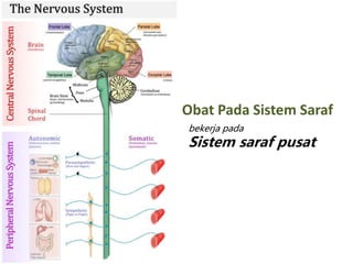 Obat Pada Sistem Saraf
bekerja pada
Sistem saraf pusat
 
