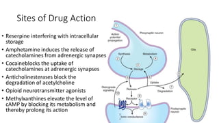 Sites of Drug Action
• Reserpine interfering with intracellular
storage
• Amphetamine induces the release of
catecholamines from adrenergic synapses
• Cocaineblocks the uptake of
catecholamines at adrenergic synapses
• Anticholinesterases block the
degradation of acetylcholine
• Opioid neurotransmitter agonists
• Methylxanthines elevate the level of
cAMP by blocking its metabolism and
thereby prolong its action
 