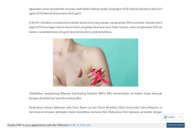 Obat untuk kanker payudara stadium akhir