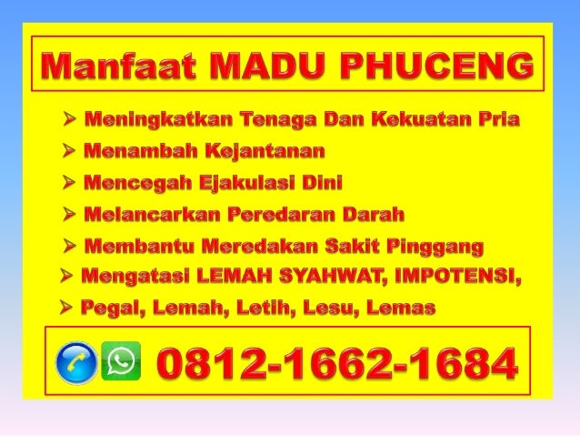 Obat Untuk Lemah Syahwat Di Apotik, hp/wa 0812 1662 1684