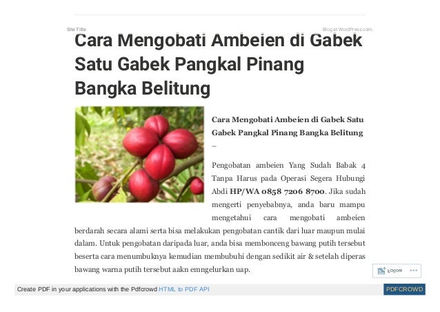 Obat wasir tanpa operasi Obat wasir tanpa operasi