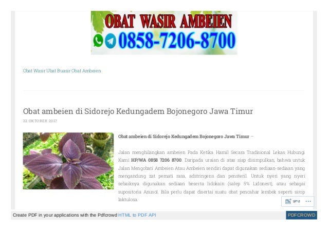 Obat wasir tradisional Obat wasir tradisional