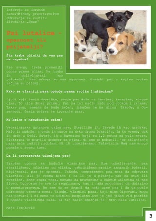 Intervju sa Goranom
Samardžićem, predstavnikom
Udruženja za zaštitu
životinja „Spas“


Psi lutalice –
opasnost ili
prijatelji?
Šta treba učiniti da vas pas
ne napadne?

Pre svega, treba promeniti
odnos prema njima. Ne treba
ih      doživljavati    kao
„džukele“. Kao nekoga ko vas ugrožava. Gradski psi o kojima vodimo
računa su pitomi.

Kako se vlasnici pasa ophode prema svojim ljubimcima?

Ljudi koji imaju dvorište, svoje pse drže na lancima, kanapima, konop-
cima. To nije dobar primer. Psi na taj način budu pod otokom i ranama.
Takav pas, umesto da bude lečen, izbačen je na ulicu. Takođe, u Ob-
renovcu, česta pojava je trovanje pasa.

Ko brine o napuštenim psima?

Veterinarska ustanova uzima pse. Steriliše ih. Zavede ih kao gradske.
Malo ih zadrže, a onda ih puste na neku drugu lokaciju. Za to vreme, dok
ih drže u Ovči, čuvaju ih u kavezima koji su 1,2 metra sa pola metra.
Elektrana je pravila dogovor sa njima. Mi smo se pobunili jer sklanjanje
pasa neće rešiti problem. Mi ih udomljavamo. Televizija Mag nam mnogo
pomaže u svemu tome.

Da li proveravate udomljene pse?

Pravimo ugovor sa budućim vlasnikom psa. Pre udomljavanja, psa
sterilišemo, očistimo od glista, vakcinišemo protiv zaraznih bolesti.
Higijenski, pas je spreman. Takođe, temperament psa mora da odgovara
vlasniku, ali je veoma bitno i da li je u pitanju pas za stan ili
dvorište. Zbog svega toga, moramo da proverimo u kakvim uslovima bi pas
živeo. Ugovorom je sve to regulisano, kao i naša mogućnost da dolazimo
u posetu/proveru. Ne sme da se dogodi da neko uzme psa i da ga posle
određenog vremena nema. Takođe, vlasnici pasa, koji nisu čipovani, mogu
nas pozvati i mi ćemo to učiniti besplatno.Ovo je još jedan vid podrške
i pomoći vlasnicima pasa. Na taj način smanjen je broj pasa lutalica.

Maja Ivanković

                                                                           3
 