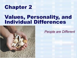 Chapter 2
Values, Personality, and
Individual Differences
People are Different
 