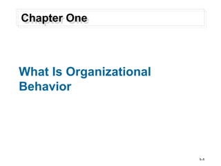 What Is Organizational
Behavior
1–1
Chapter One
 