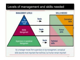 Levels of management and skills needed
 