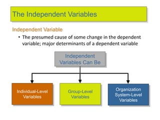 The Independent Variables
Independent
Variables Can Be
Individual-Level
Variables
Organization
System-Level
Variables
Group-Level
Variables
Independent Variable
• The presumed cause of some change in the dependent
variable; major determinants of a dependent variable
 