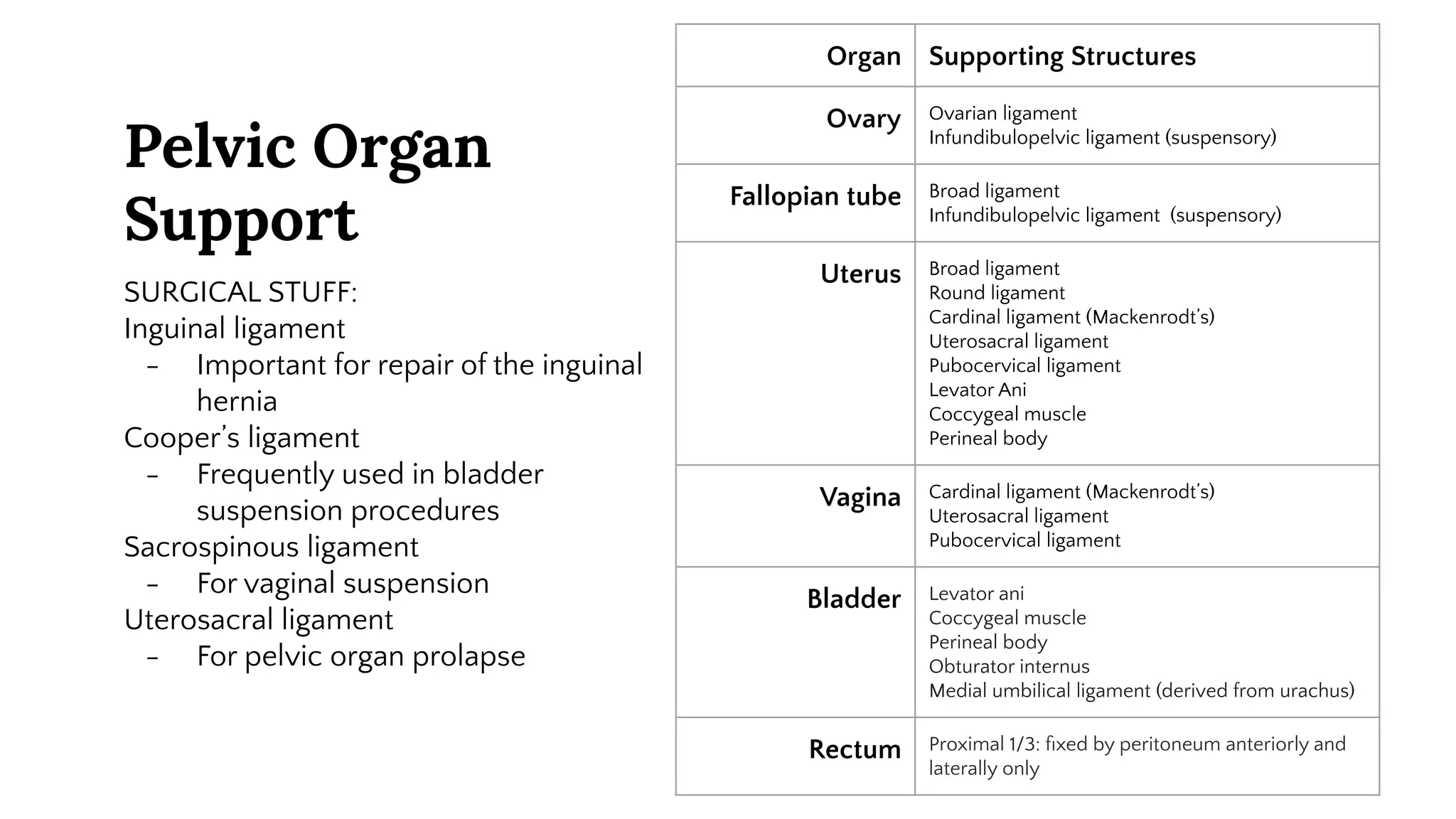 Obstetric and Gynecologic Clinical Anatomy | PDF