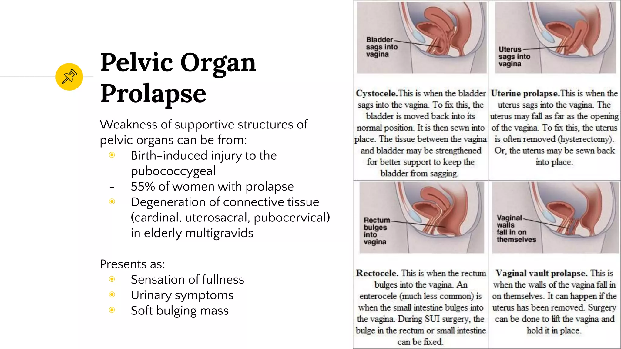 Obstetric and Gynecologic Clinical Anatomy | PDF