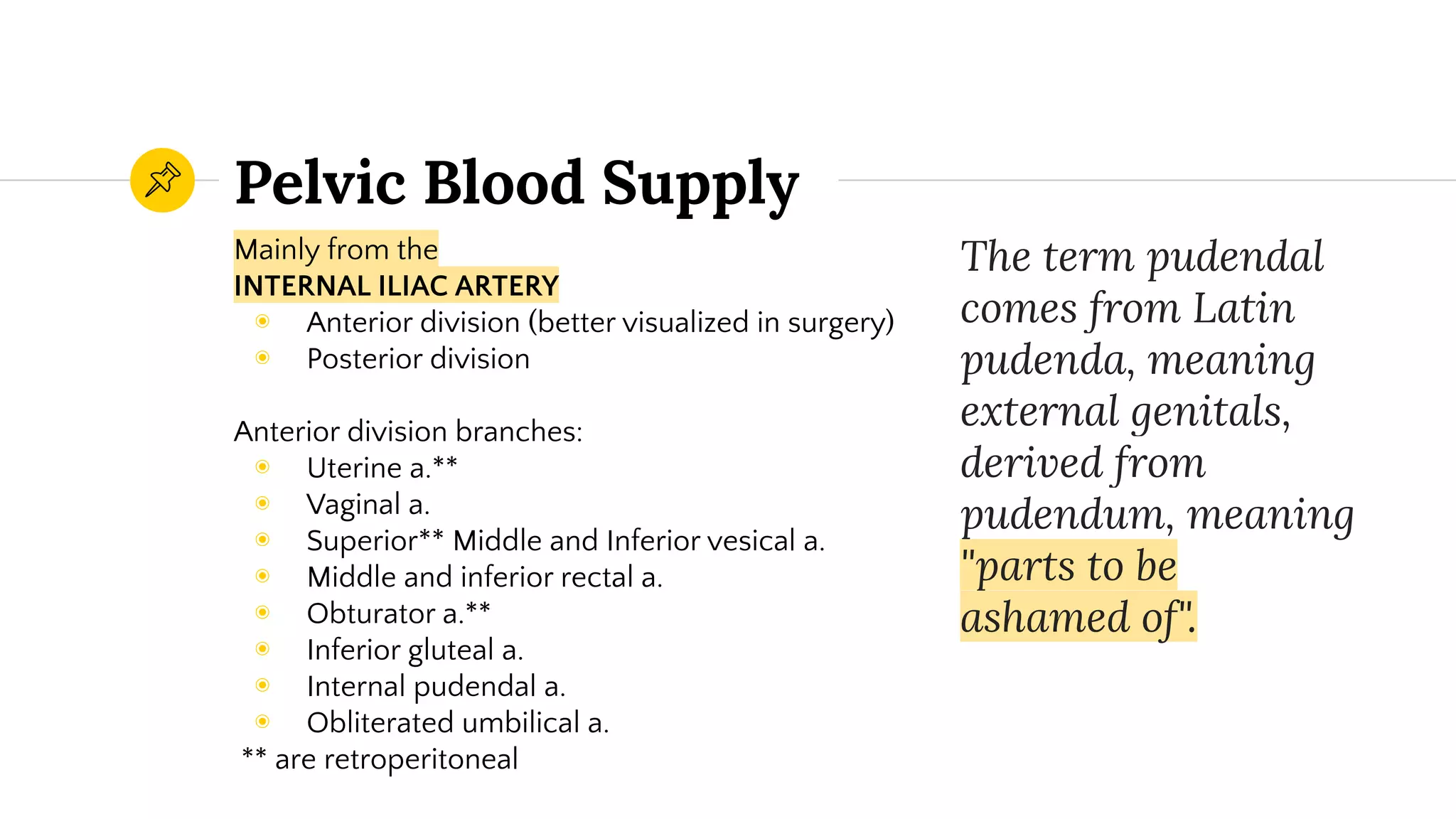 Obstetric and Gynecologic Clinical Anatomy | PDF