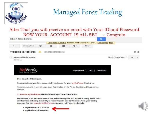 Hotforex pamm system