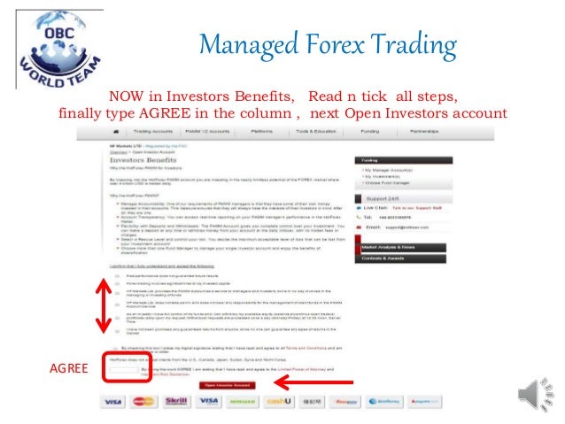 Hotforex pamm system