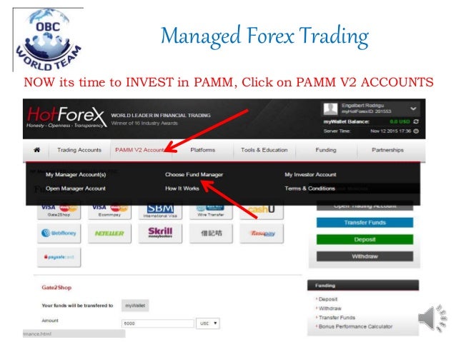 Hotforex pamm system