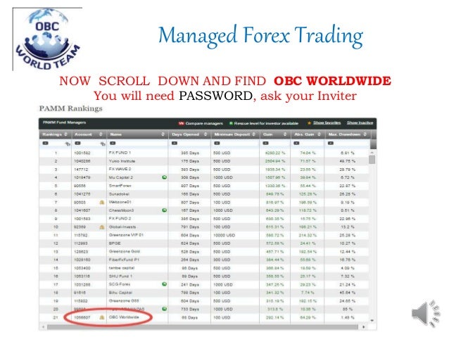 Hotforex pamm system