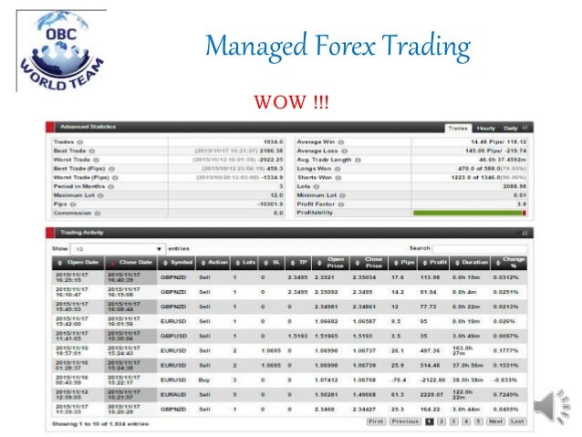 Hotforex pamm