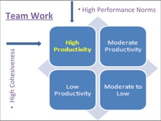 Team Work High Cohesiveness High Performance Norms 