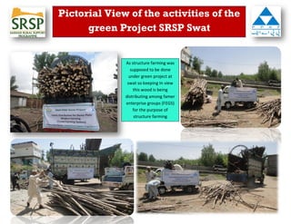 Pictorial View of the activities of the green Project SRSP Swat 
As structure farming was supposed to be done under green project at swat so keeping In view this wood is being distributing among famer enterprise groups (FEGS) for the purpose of structure farming  