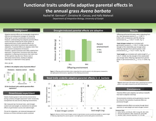 Functional traits underlie adaptive parental effects in
                                                                the annual grass Avena barbata
                                                                                  Rachel M. Germain*, Christina M. Caruso, and Hafiz Maherali
                                                                                                                     Department of Integrative Biology, University of Guelph




                                   Background                                                                         Drought-induced parental effects are adaptive                                                                                              Results
      Adaptive parental effects are increasingly recognized as                                                                                                                                                                          •Offspring performed 6% better when originating from
      effective and widespread strategies for preparing                                                                                                                                                                                 dry- over wet-grown parents (F1,145 = 9.48, P =
      offspring for survival in predictable environments.
                                                                                                                                                 7                                                                                      0.002), with no interaction with the offspring
      However, understanding how adaptive parental effects                                                                                                                                                                              environment (F1,145 = 2.59, P = 0.109 ; Fig. 1)




                                                                                                                       Biomass at 186 days (g)
                                                                                                                                                 6
      evolve has been limited by the small number of
      experimental tests of when parental effects are                                                                                                                                                                                   •Seed nitrogen content was correlated with
      adaptive and of which functional traits underlie this
                                                                                                                                                 5                                                                 Parent               germination success (F1,20 = 4.92, P = 0.038), but the
      adaptation. If parental effects are adaptive rather than                                                                                   4                                                                 environment          strength of this relationship was stronger when
      just a passive consequence of resource                                                                                                                                                                                            offspring originated from parents grown in wet
      limitation, specific functional traits likely underlie their
                                                                                                                                                                                                                     Dry                environments (F1,20 = 7.16, P = 0.015 ; Fig. 2A)
                                                                                                                                                 3
      expression. Furthermore, functional traits that allow                                                                                                                                                          Wet
      adaptation in offspring environments that match that                                                                                       2                                                                                      •Seed weight was correlated with radicle length (F1,20 =
      of their parents may also incur fitness costs in                                                                                                                                                                                  5.23, P = 0.034), but the strength of this relationship
      alternative environments, leading to adaptive                                                                                              1                                                                                      was stronger when offspring originated from parents
      matching1 as is observed in many species.                                                                                                                                                                                         grown in wet environments (F1,20 = 4.71, P = 0.043; Fig.
                                                                                                                                                 0                                                                                      2B)
      Here, we ask:
                                                                                                                                                             Dry                                     Wet
      (i) What is the adaptive value of parental effects?
                                                                                                                                                         Offspring environment
                Maladaptive Adaptively matched                       Adaptive
          12
               Parent
                                    12                       12                                                 Figure 1: Offspring performed better when originating from parents grown in dry (dark green) compared to
          10
               environment          10                       10                                                 wet (light green) environments, regardless of the offspring environment
                 Dry
Biomass




          8                         8                            8
                 Wet
          6                         6                            6


          4


          2
                                    4


                                    2
                                                                 4


                                                                 2
                                                                                             Seed traits underlie adaptive parental effects in A. barbata
          0                         0                            0


                 Dry         Wet          Dry          Wet           Dry    Wet                                                                                                                                                           Figure 3: Seeds were 53% heavier when originating from parents
                                         Offspring environment                                            1.0                                                                                    5                                        grown in dry (right) compared to wet (left) environments
      (ii) Do functional traits underlie parental effect                                                              A                                                                                  B
                                                                                    Germination success




                                                                                                                                                                                                 4
                                                                                                                                                                           Radicle length (cm)


              expression?                                                                                 0.8
                                                                                                                                                                                                                                                           Conclusions
                                                                                                          0.6                                                                                    3                                      •Parental effects were adaptive, but without tradeoffs
                    Greenhouse experiment
                                                                                                                                                                                                                                        that lead to adaptive matching3
 •Seeds of plants grown in wet and dry environments                                                       0.4                                                                                    2
 during a previous drought experiment2 were reciprocally                                                                                                                                                                                •Environmental similarity across generations may not
 transplanted into wet and dry offspring environments                                                                                                                                                                                   be critical for the evolution of parental effects as
                                                                                                          0.2                                                                                    1                                      previously thought
 •We measured two functional traits, seed nitrogen
 content and seed weight, as mechanisms for parental                                                      0.0                                                                                    0                                      •Adaptive parental effects can evolve through direct
 effects on germination success and radicle length                                                                                                                                                                                      selection on seed weight and seed nitrogen content
                                                                                                                 2                         3         4   5         6   7                             0       25     50     75    100

 •To test for adaptation, we measured aboveground                                                                             % Seed nitrogen content                                                        Seed weight (mg)          Literature Cited
                                                                                                                                                                                                                                       1. Sultan, Barton, and Wilczek. 2009. Ecology 90: 1831-1839.
 biomass as a fitness estimate as plants senesced                                                                                                                                                                                      2. Sherrard and Maherali. 2006. Evolution 60: 2478-2489.
                                                                                                                Figure 2: Influence of (A) % seed nitrogen content on germination success and (B) seed weight on radicle length
                                                                                                                of offspring originating from parents grown in wet (light green) and dry (dark green) environments.                    3. Hereford. 2009. American Naturalist 173: 579-588.
 