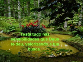 Testa tudo nas
sensibilidades que Deus
te deu, valorizando a tua
busca.
 