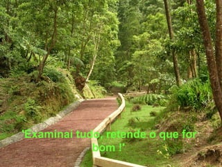 'Examinai tudo, retende o que for
bom !'
 