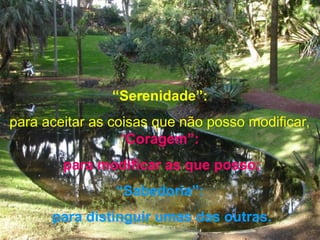 “Serenidade”:
para aceitar as coisas que não posso modificar,
“Coragem”:
para modificar as que posso;
“Sabedoria”:
para distinguir umas das outras.
 