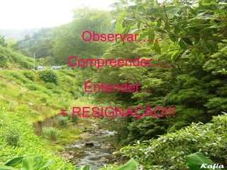 Observar.....
Compreender.....
Entender...
= RESIGNAÇÃO!!!
 