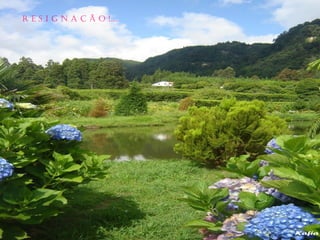 R e s i g n a ç ã o !....
 