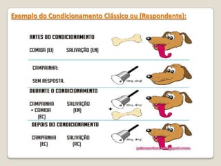 Exemplo do Condicionamento Clássico ou (Respondente):
 