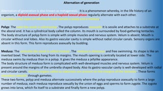Obelia life cycle- polyp & medusa structure, difference between polyp & medusa