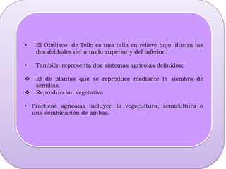 Debe su nombre al precursor de la arqueología Peruana Julio Tello.