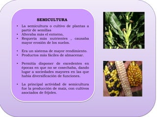 El de plantas que se reproduce mediante la siembra de semillas.