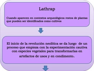 Reproducción vegetativa