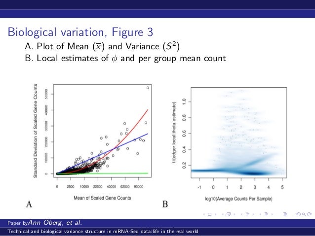 Dissertation meaning picture