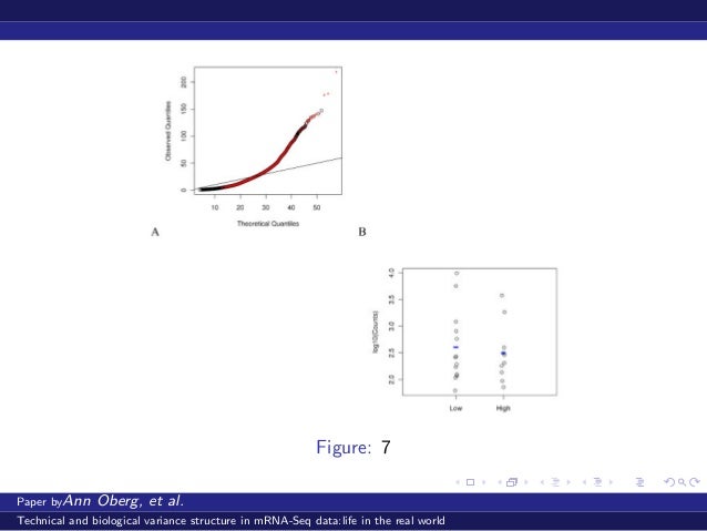Phd dissertation picture