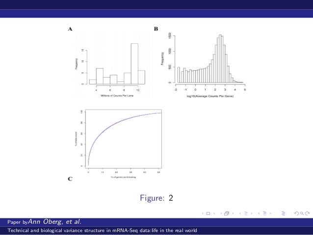 Prabhakar chalise dissertation 08 picture