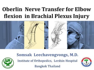 Oberlin Nerve Transfer for Elbow
flexion in Brachial Plexus Injury
Somsak Leechavengvongs, M.D.
Institute of Orthopedics, Lerdsin Hospital
Bangkok Thailand
 