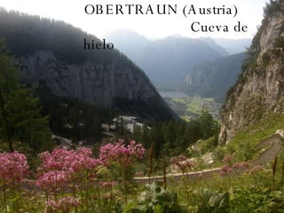 OBERTRAUN (Austria)  Cueva de hielo  