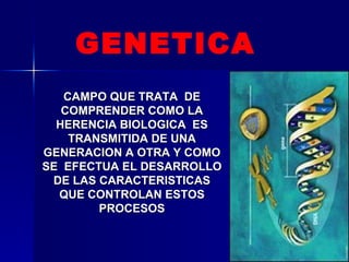 CAMPO QUE TRATA  DE COMPRENDER COMO LA HERENCIA BIOLOGICA  ES TRANSMITIDA DE UNA GENERACION A OTRA Y COMO SE  EFECTUA EL DESARROLLO DE LAS CARACTERISTICAS QUE CONTROLAN ESTOS PROCESOS GENETICA 